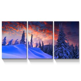 3 Panels Framed Winter Forest Canvas Wall Art Decor,3 Pieces Mordern Canvas Decoration Painting for Office,Dining room,Living room, Bedroom Decor-Read